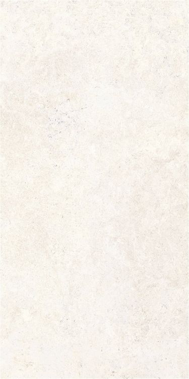 OL Limestone Bianco Matte 24 x 48